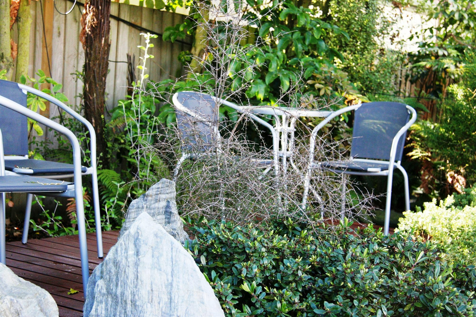 Sherborne Motor Lodge Christchurch Buitenkant foto